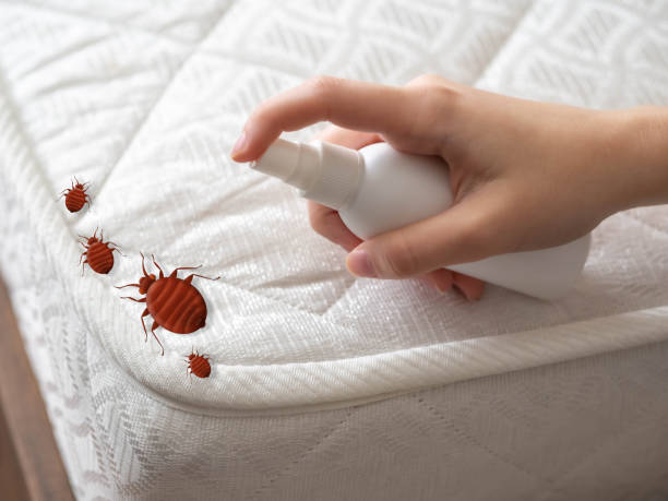 Best Commercial Pest Control Services  in South Connellsville, PA