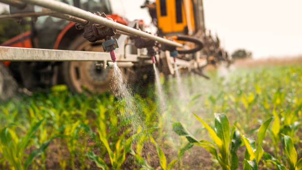 Professional Pest Control in South Connellsville, PA